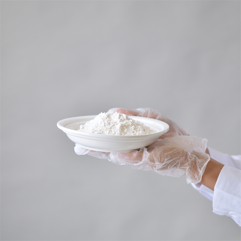Methylparabeen CAS 99-76-3